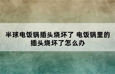 半球电饭锅插头烧坏了 电饭锅里的插头烧坏了怎么办